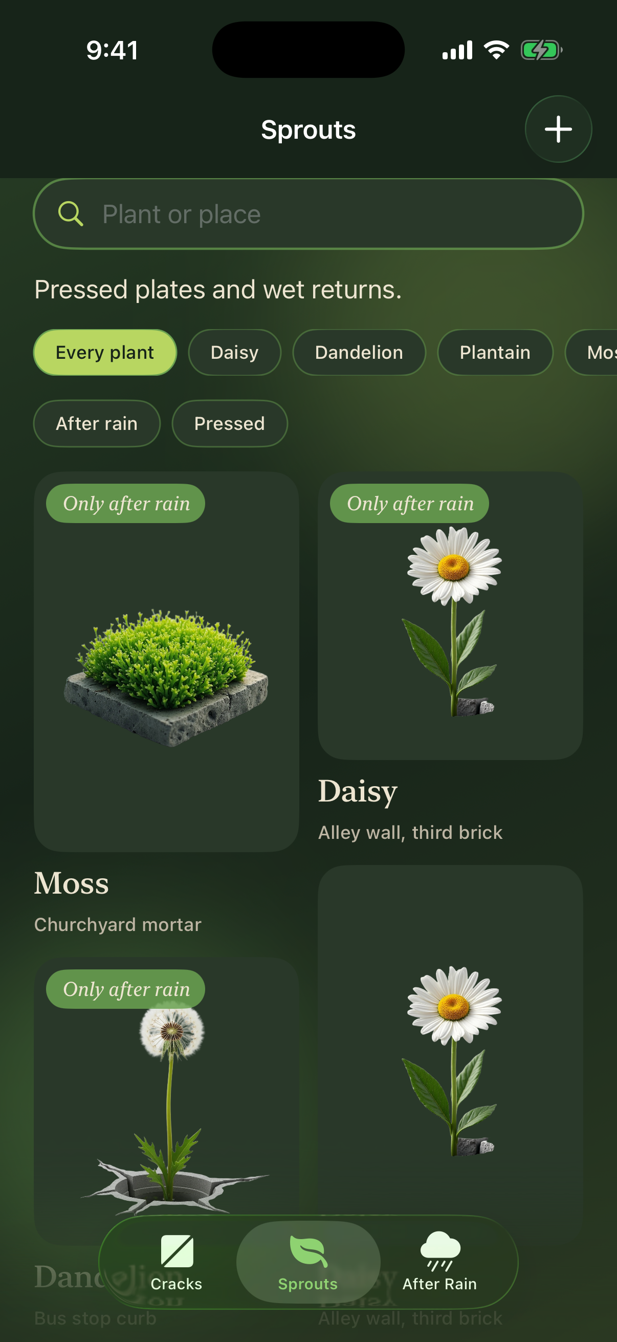Grid of sprout sightings